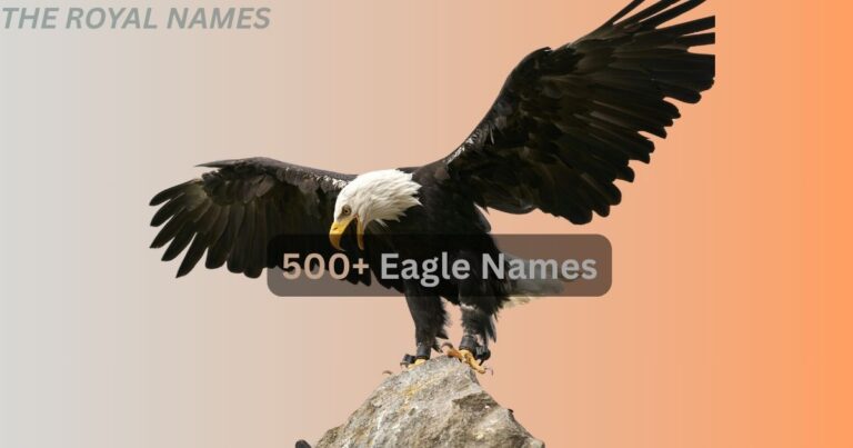 Eagle Names