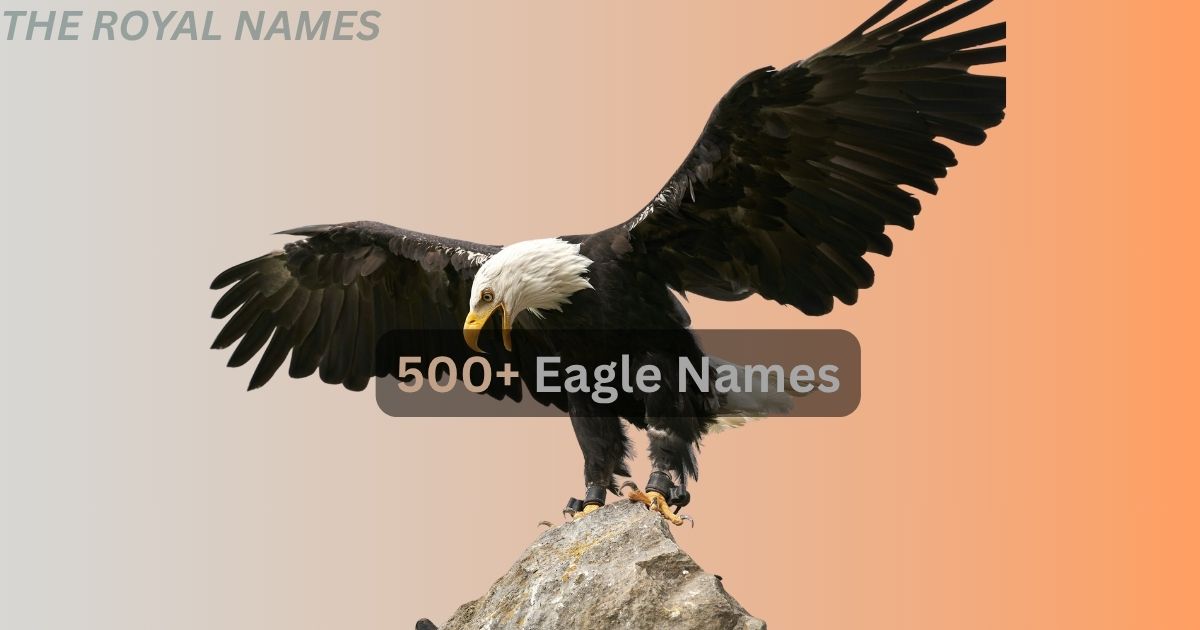 Eagle Names