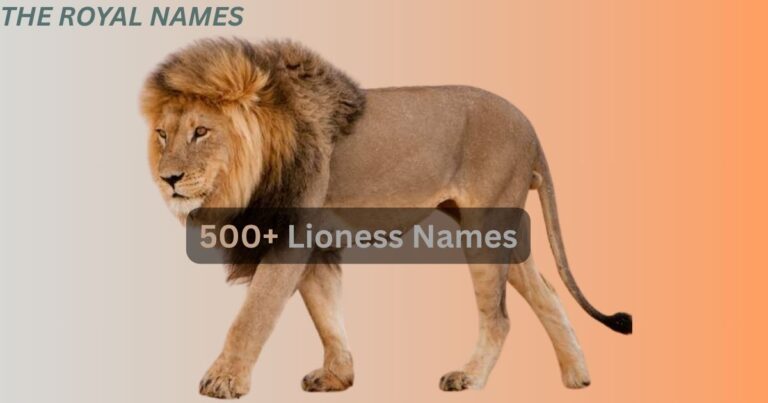 500+ Lioness Names: Funny, Strong and Mythical Names