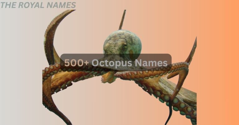 500+ Octopus Names: Cool , Popular and Funny Octopus Names