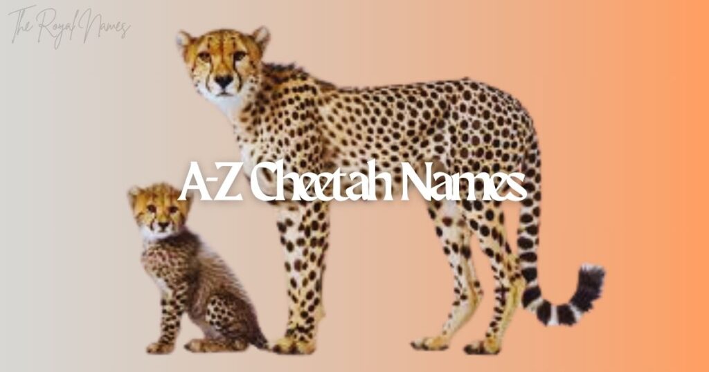 A-Z Cheetah Names