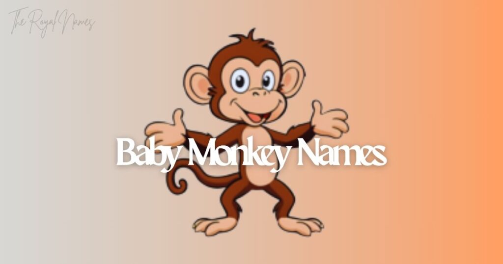 Baby Monkey Names