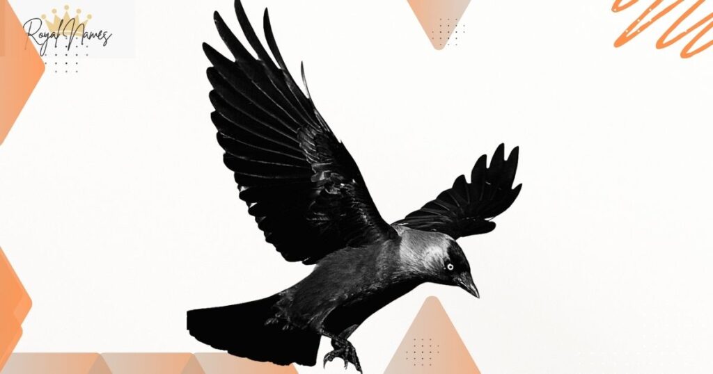 Best Crow Names