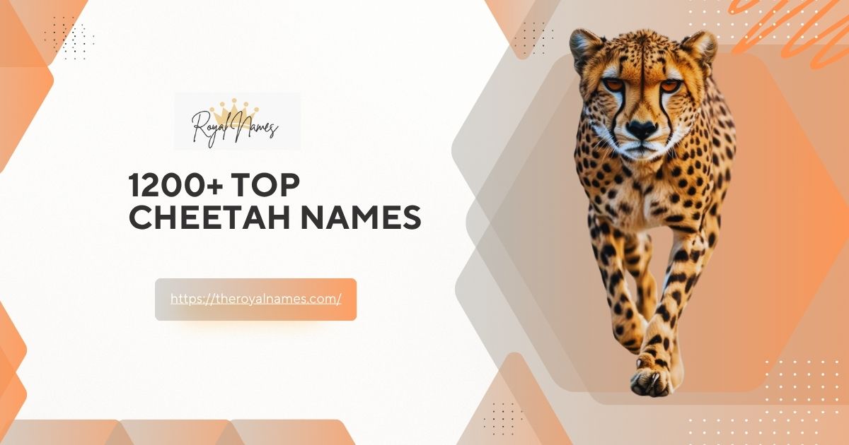 Cheetah Names
