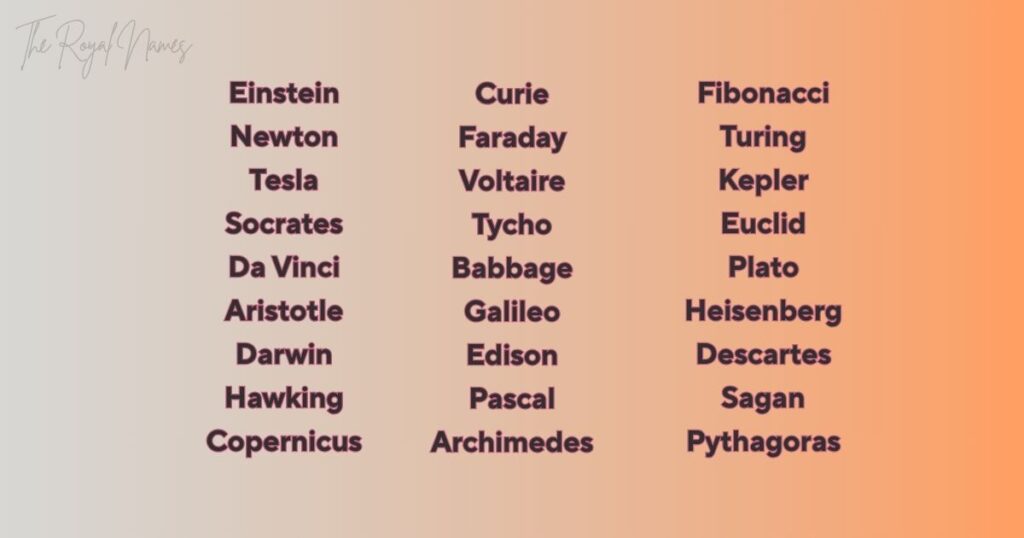 Clever Monkey Names 