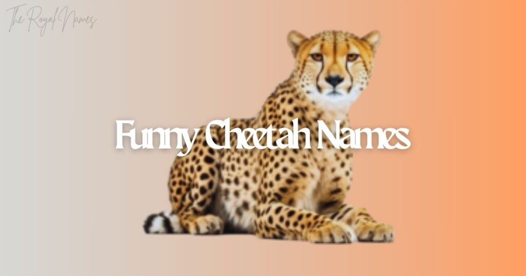 Funny Cheetah Names