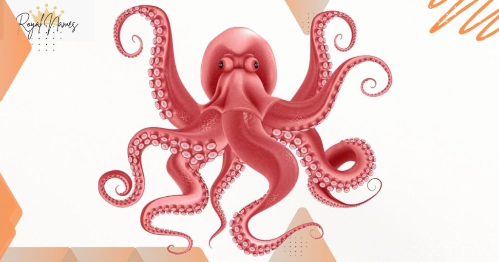 Octopus Names with Meanings