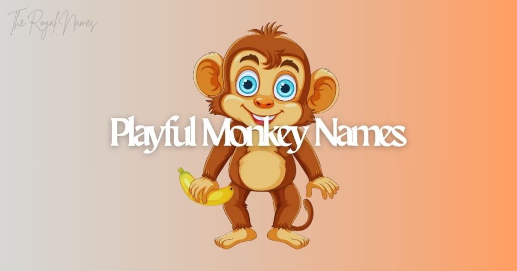 Playful Monkey Names