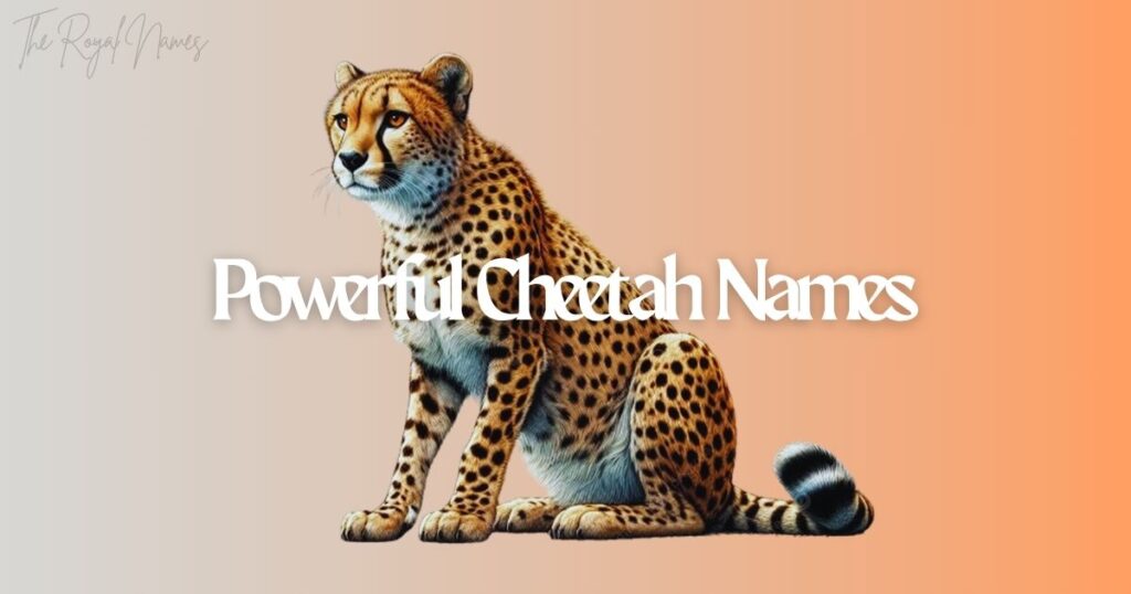 Powerful Cheetah Names
