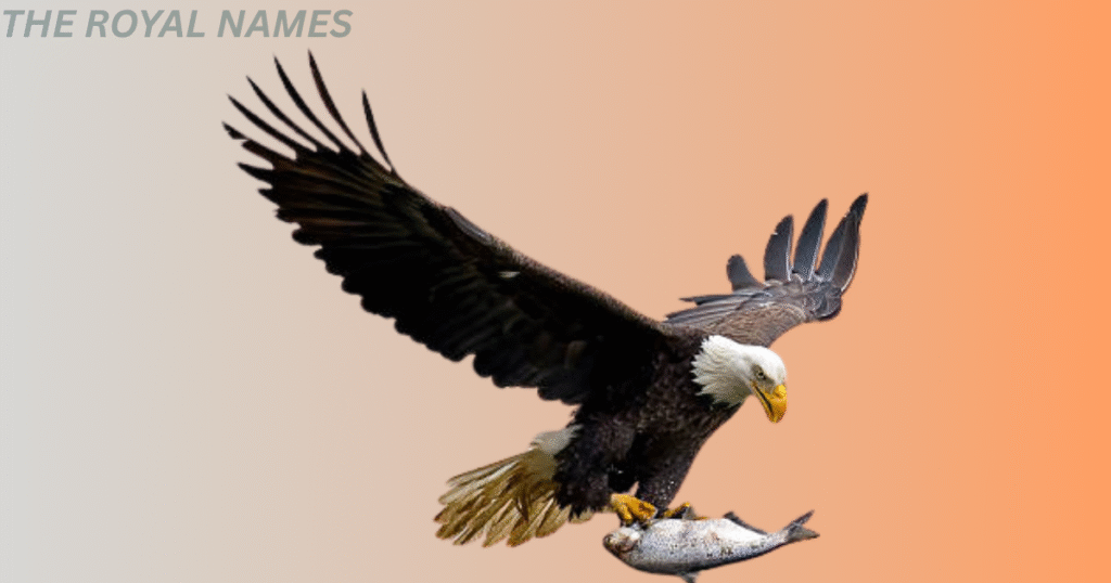 Unique Eagle Names