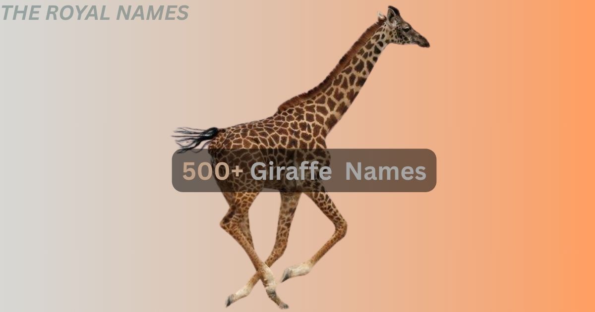 Giraffe Names