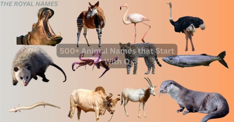 Animal Names that Start With O