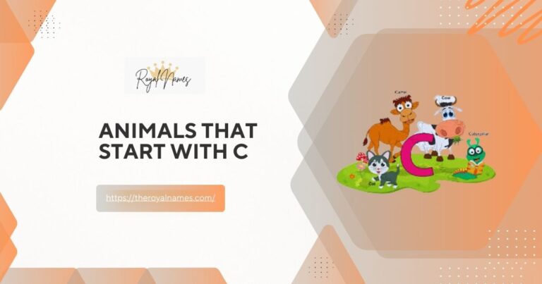 Animals That Start With C
