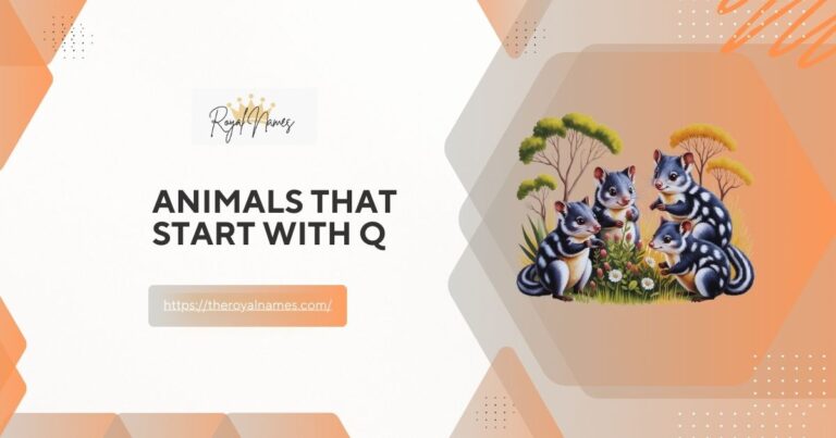 Animals That Start With Q