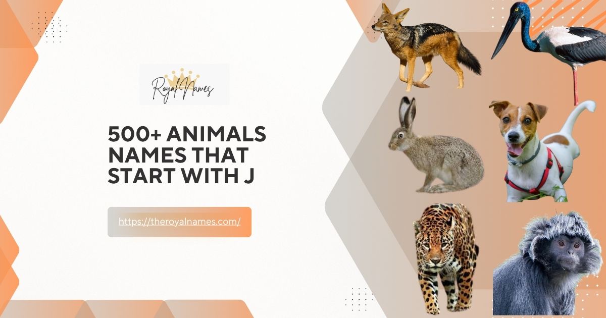 Animals names that Start With J