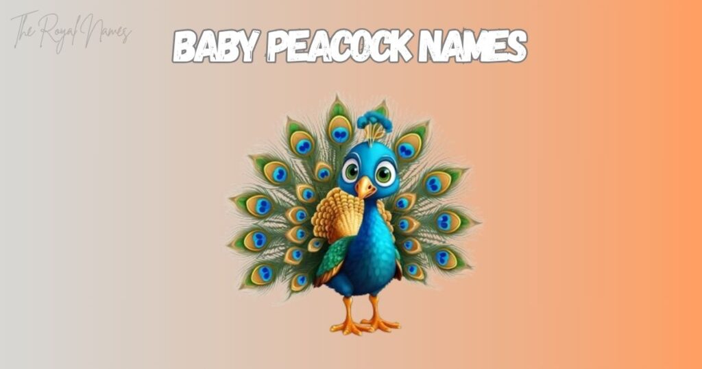 Baby Peacock Names