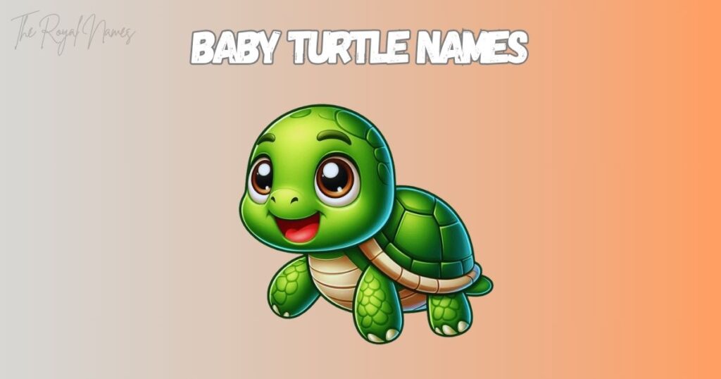 Baby Turtle Names
