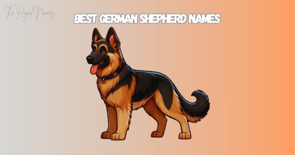 Best German Shepherd Names