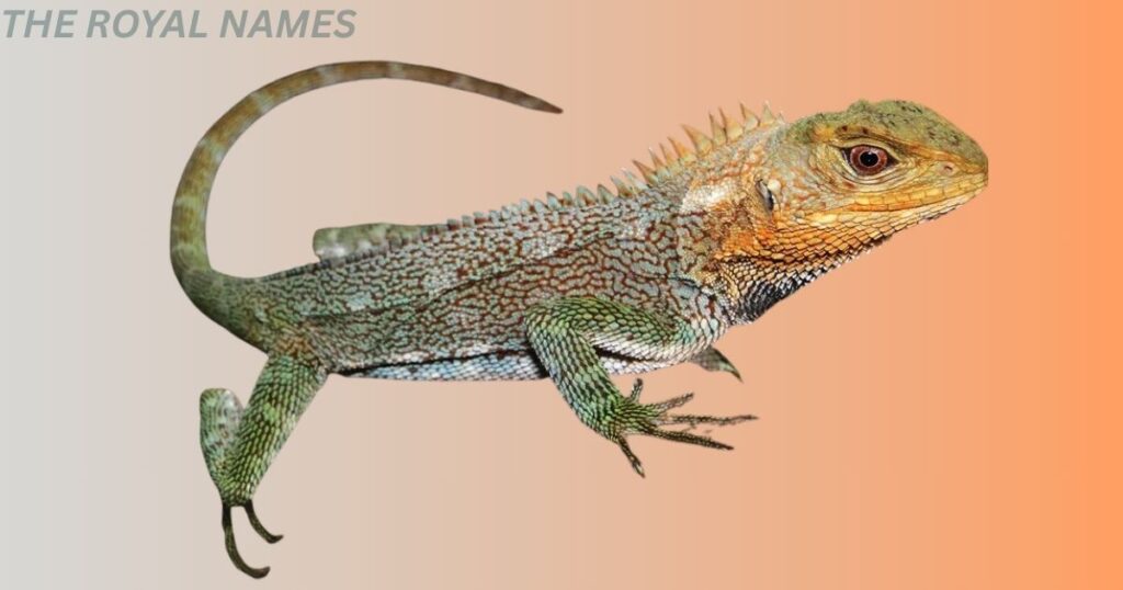 Best Lizard Names