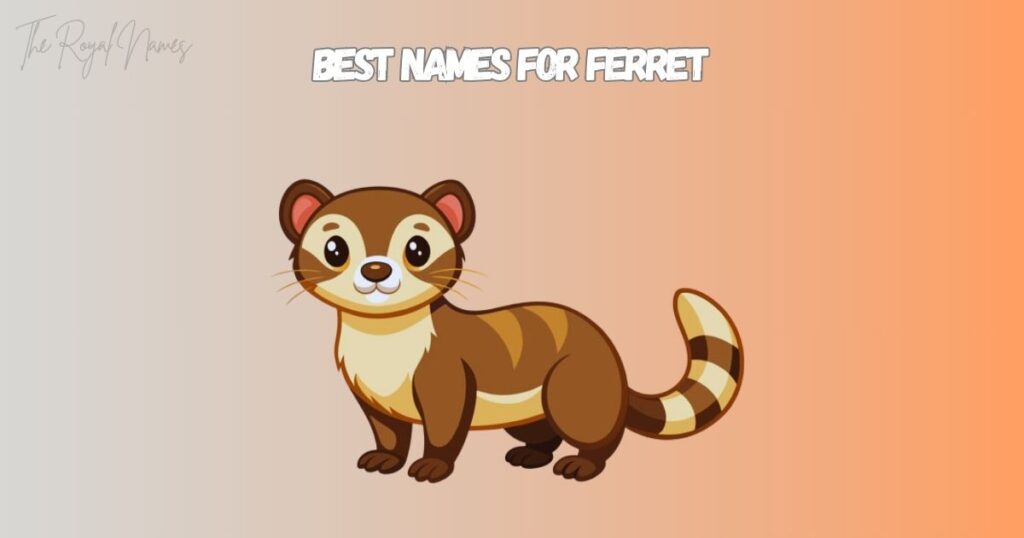 Best Names for Ferret