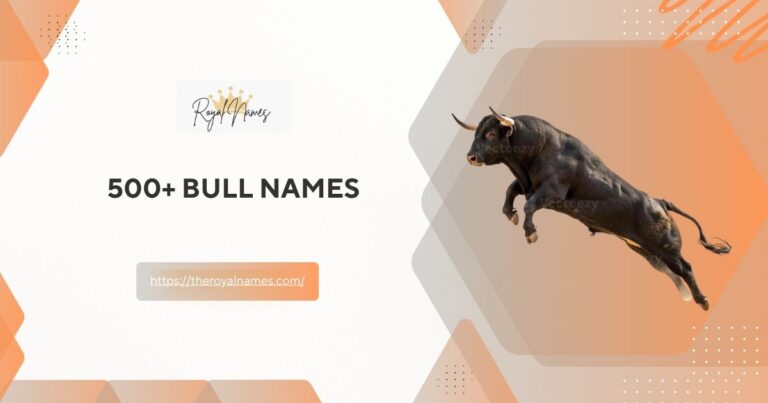 Bull Names