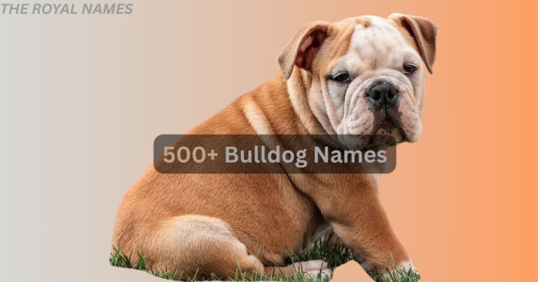 Bulldog Names