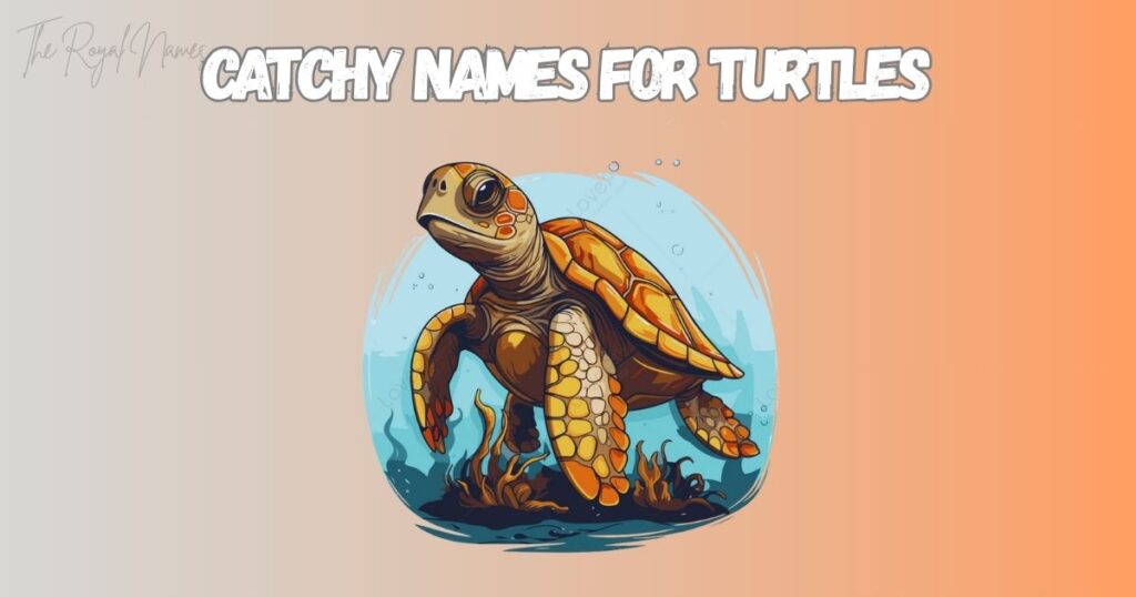 Catchy Names for Turtles