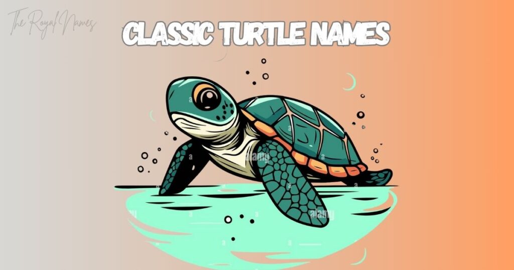 Classic Turtle Names