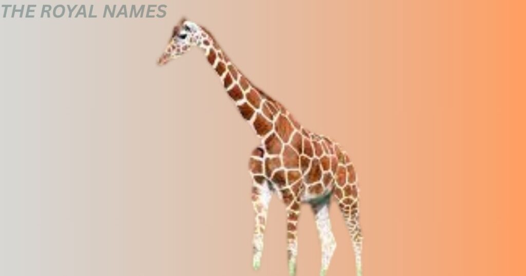 Cute Giraffe Names