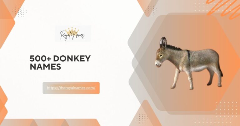 Donkey Names