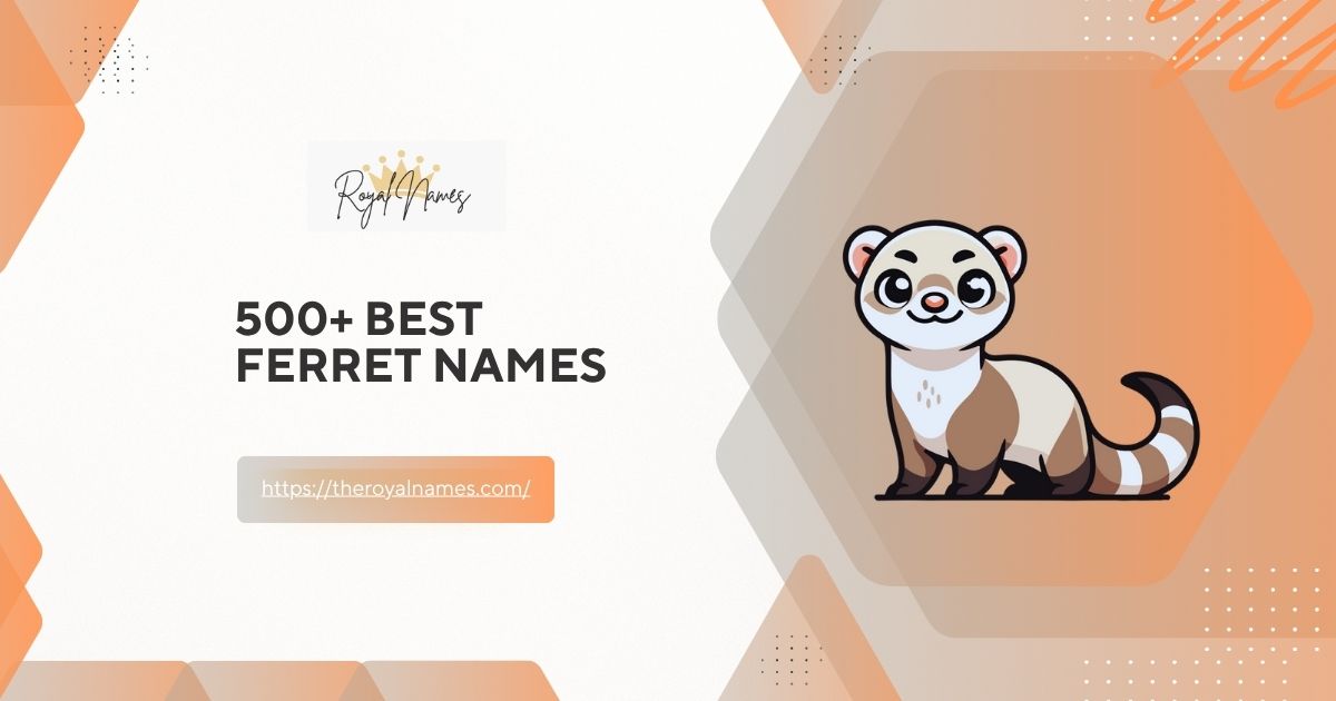 Ferret Names