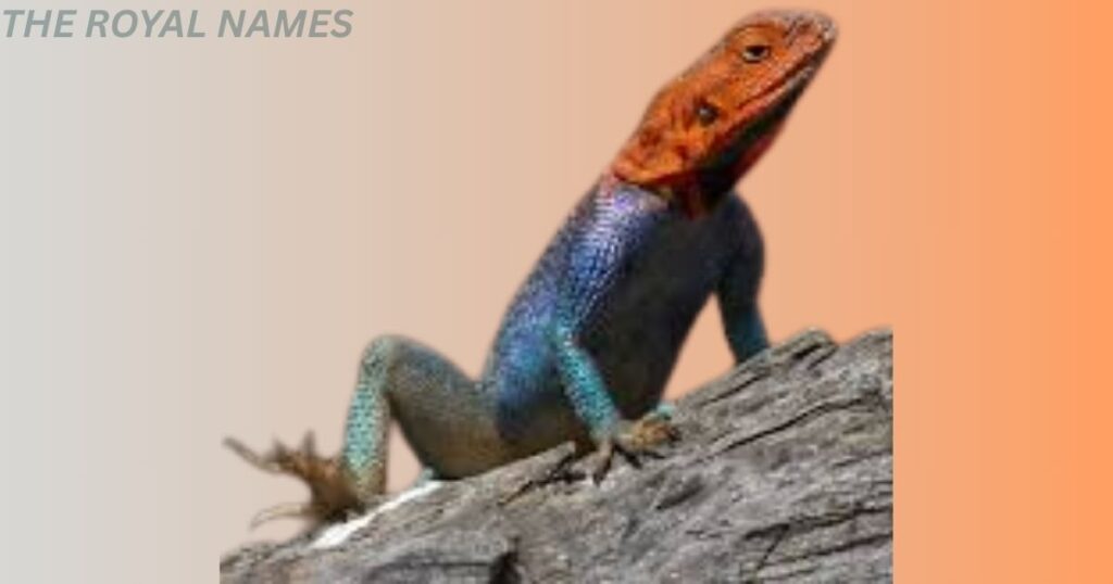 Funny Lizard Names