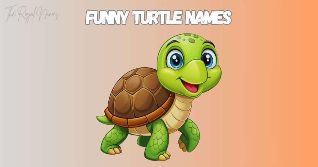 Funny Turtle Names