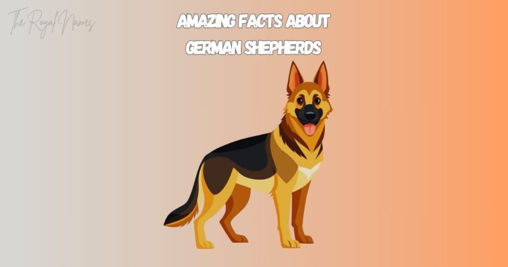 German Shepherd Names A-Z
