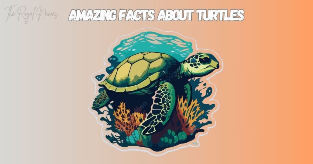 Good Turtle Names
