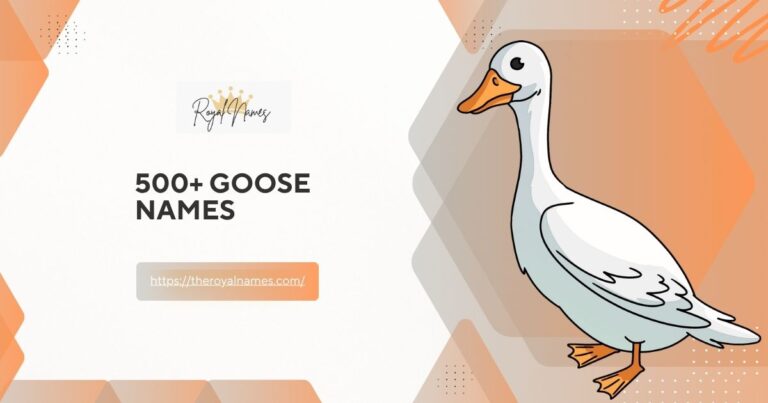 Goose Names