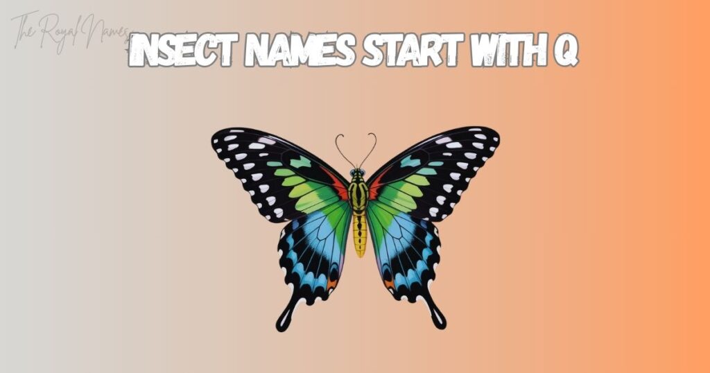 Insect Names Start With Q