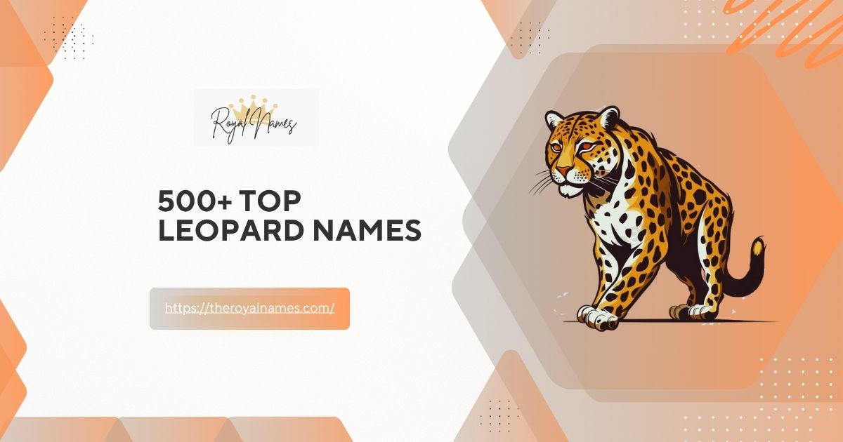 Leopard Names