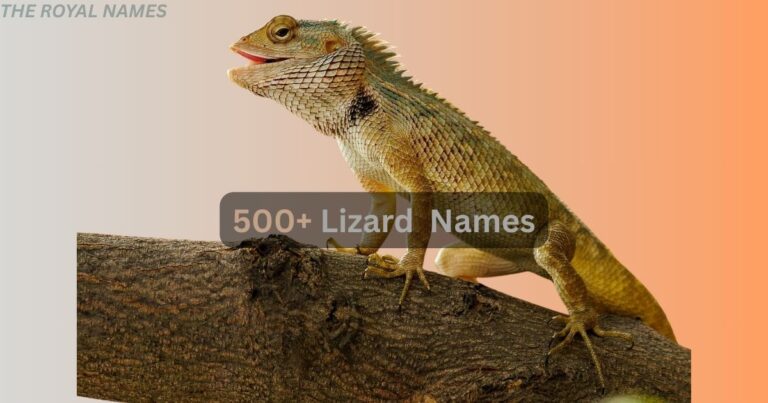 Lizard Names