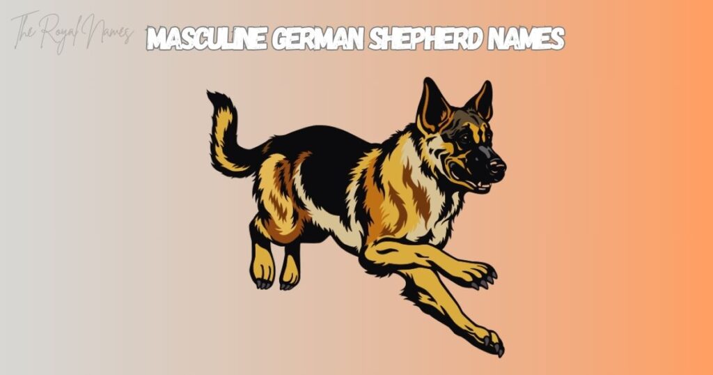 Masculine German Shepherd Names