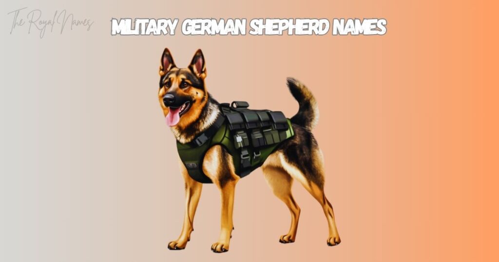 Military German Shepherd Names