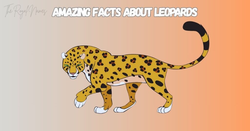 Nicknames For Leopard
