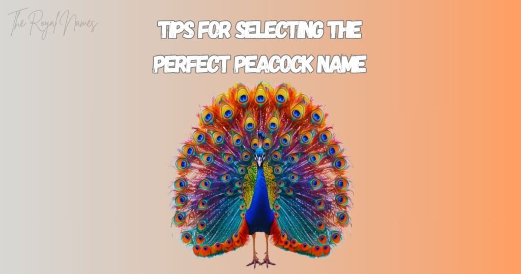 Nicknames For Peacock