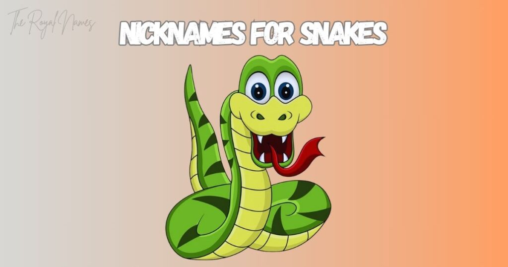 Nicknames For Snakes