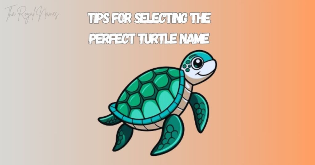 Nicknames For Turtle