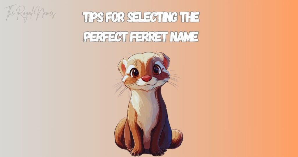 Nicknames for Ferret