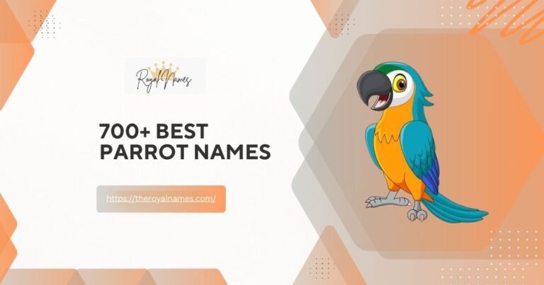 Parrot Names