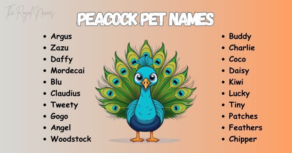 Peacock Pet Names