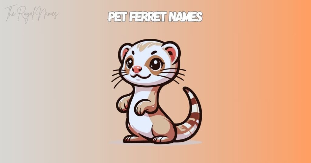 Pet Ferret Names