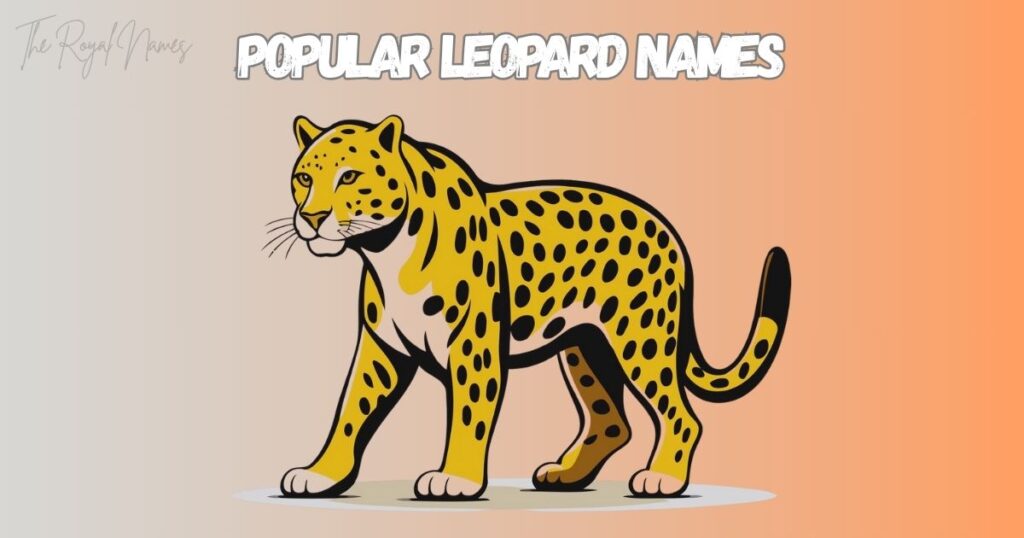Popular Leopard Names